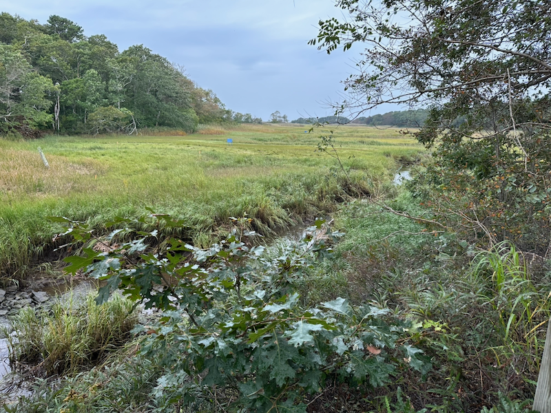 Namskaket Creek flowing into Cape Cod Bay