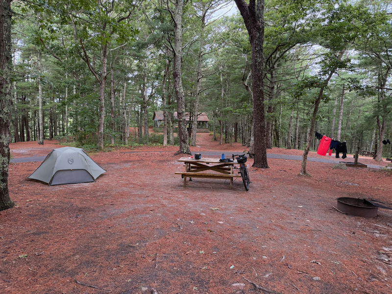 My campsite in Area 7 of Nickerson State Park