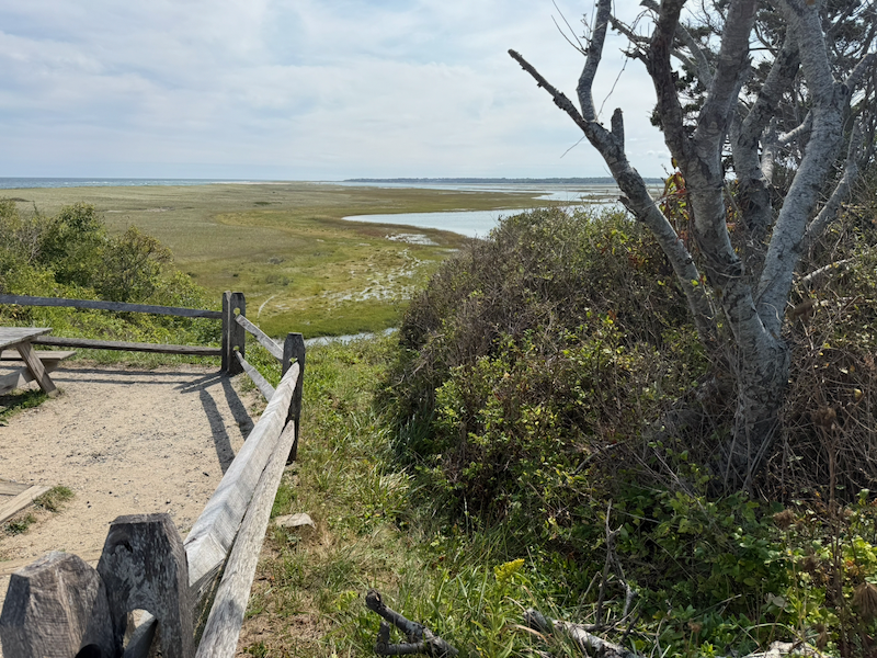 Marine wetlands near Coast Guard Beach