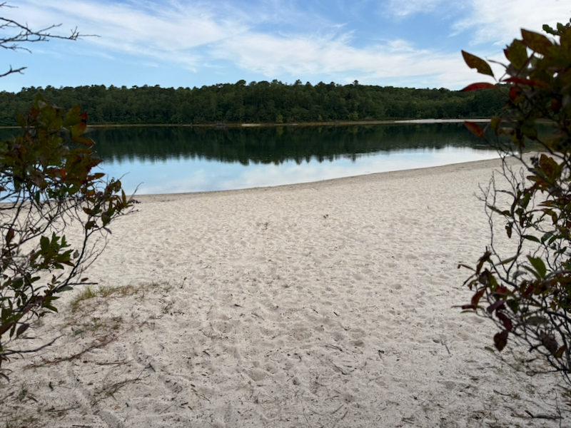 The beach at Higgin's Pond