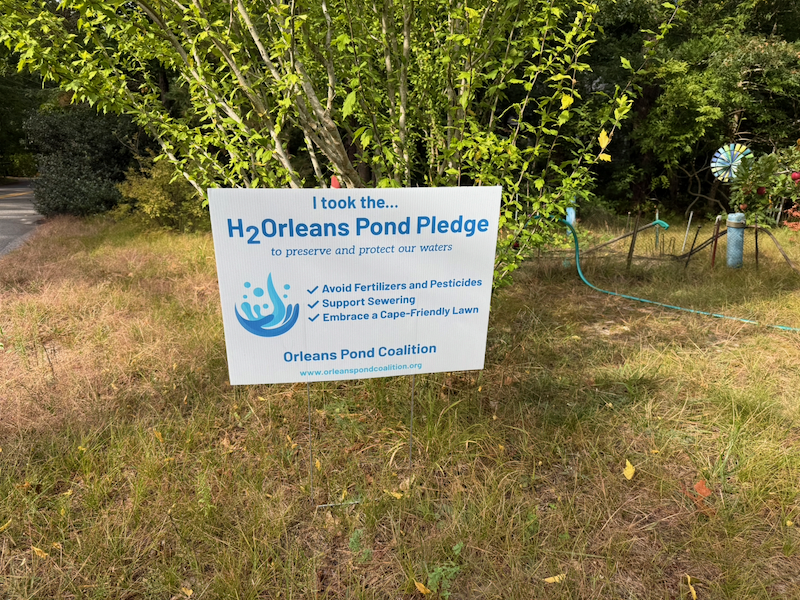 The Orleans pond pledge