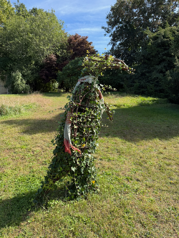 Topiary at Edward Gorey House